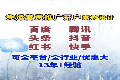 专业sem托管服务案例，揭秘广告投放优化策略